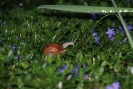 1mai2010_086