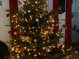 Christbaum loben 2014