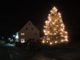 2015 weihnachtsbaum singen 01