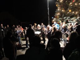 2015 weihnachtsbaum singen 02