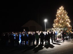 2015 weihnachtsbaum singen 11