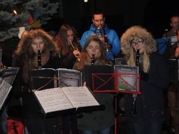 2015 weihnachtsbaum singen 22