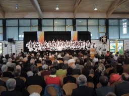 sieger goetz verabschiedung ej-chorverband 12