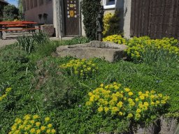 hinterbrand maifest 12 20160907 2023872428