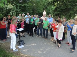 2017 lk dc beim waldfest hummelsweiler 05