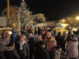 2017 weihnachtsbaum singen 02