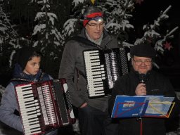 2017 weihnachtsbaum singen 09