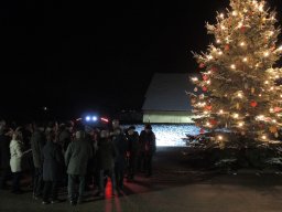 2017 weihnachtsbaum singen 13