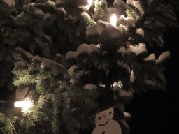 2017 weihnachtsbaum singen 15